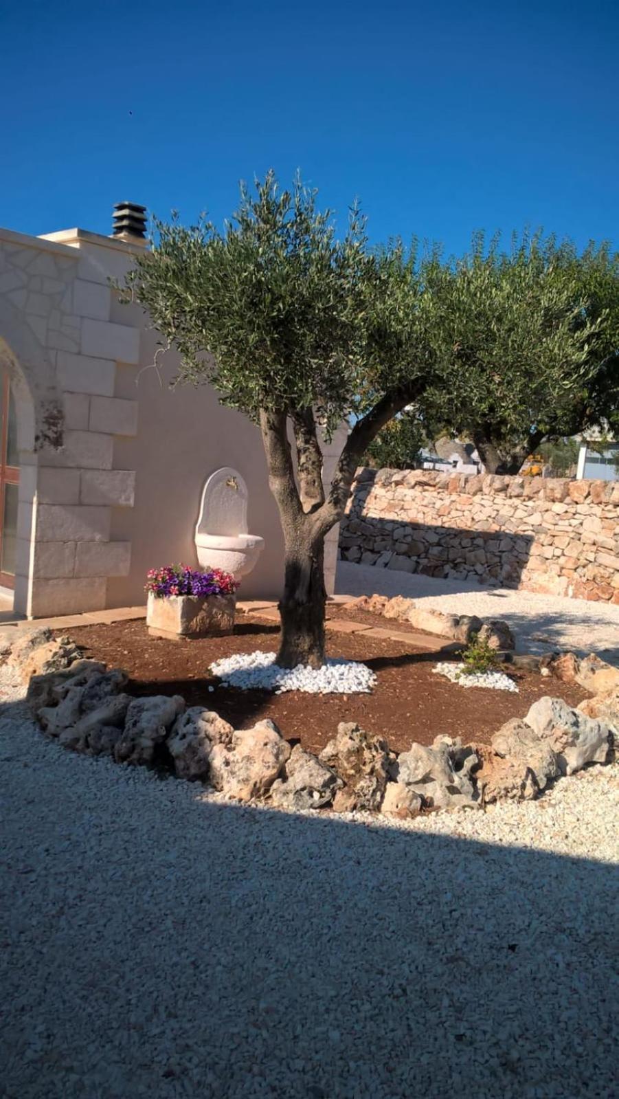 Trulli Della Catena *